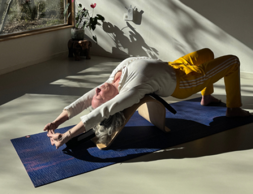 Workshop Critical Alignment Yoga