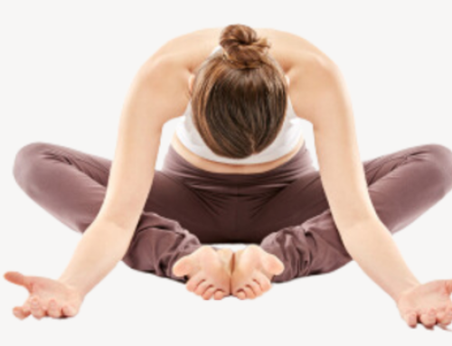 Cursus Bewust in je Bekken