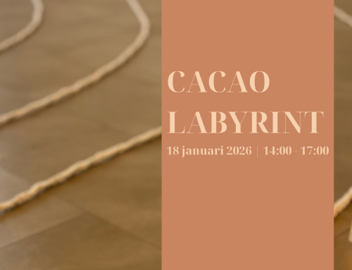 Cacao Labyrint – met een open hart een labyrint lopen